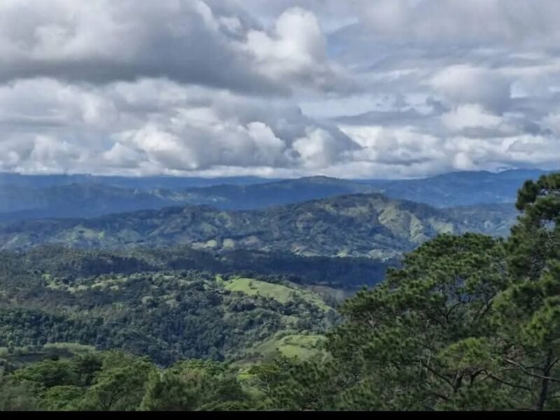 VENDO TERRENOS EN JARABACOA