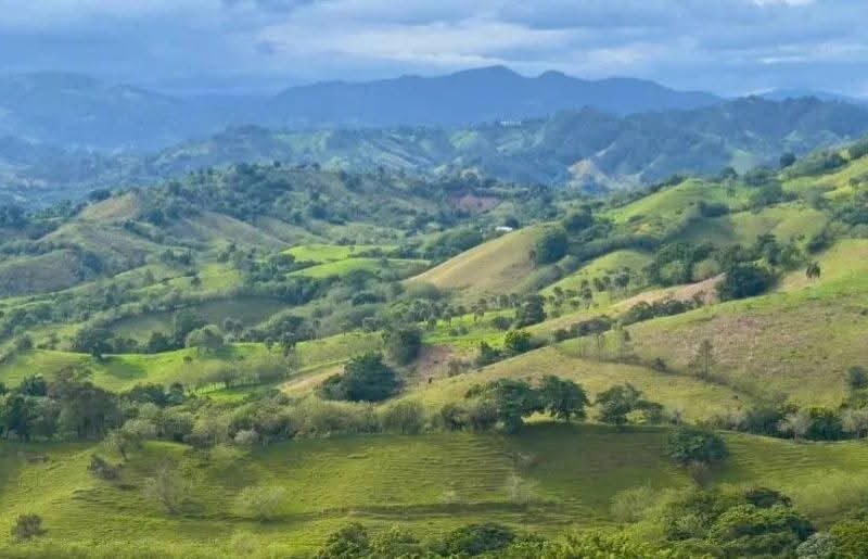VENDO TERRENOS EN JARABACOA