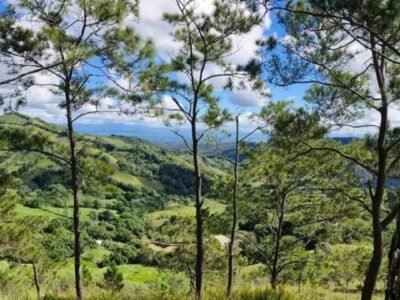 VENDO TERRENOS EN JARABACOA