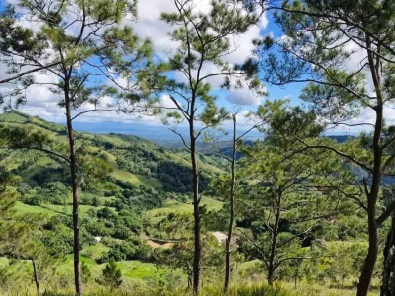 VENDO TERRENOS EN JARABACOA