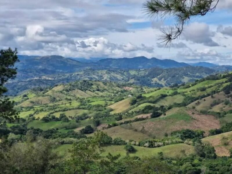VENDO TERRENOS EN JARABACOA