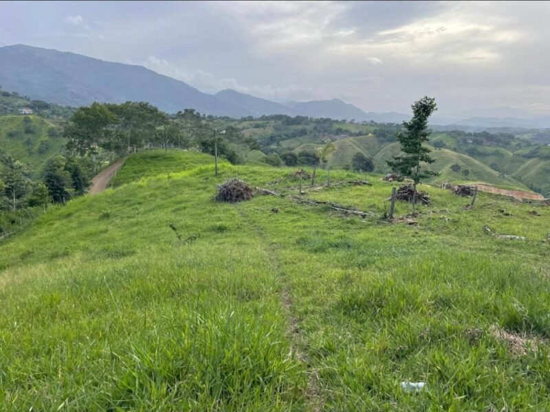 VENDO TERRENOS EN GUAREY LA VEGA