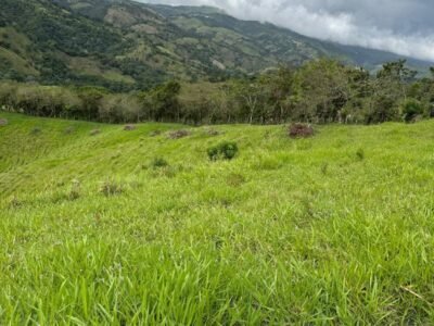 VENDO TERRENOS EN GUAREY LA VEGA