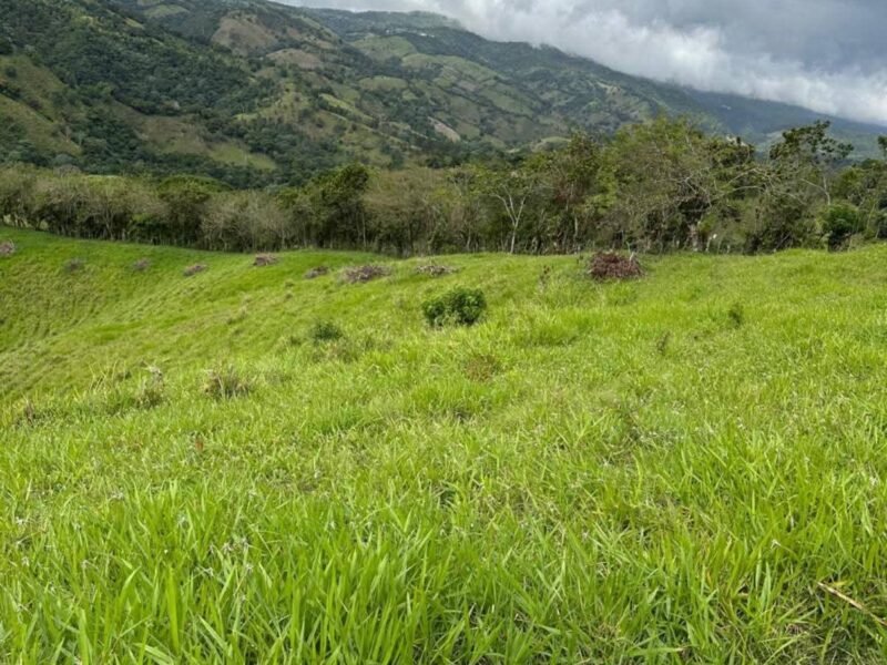 VENDO TERRENOS EN GUAREY LA VEGA