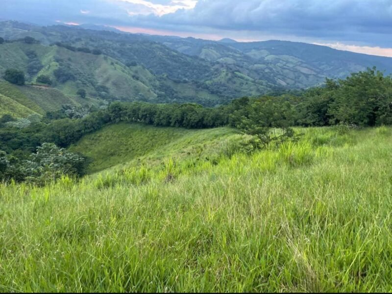 VENDO TERRENOS EN GUAREY LA VEGA