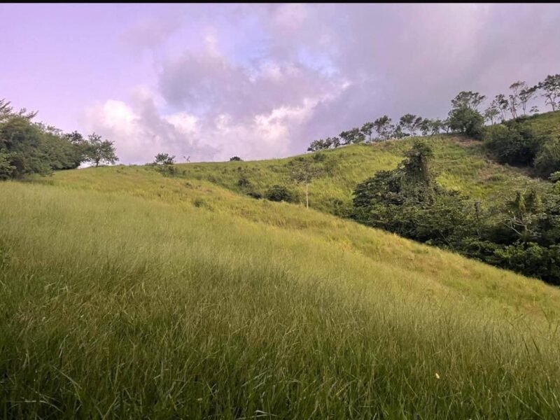 VENDO TERRENOS EN GUAREY LA VEGA