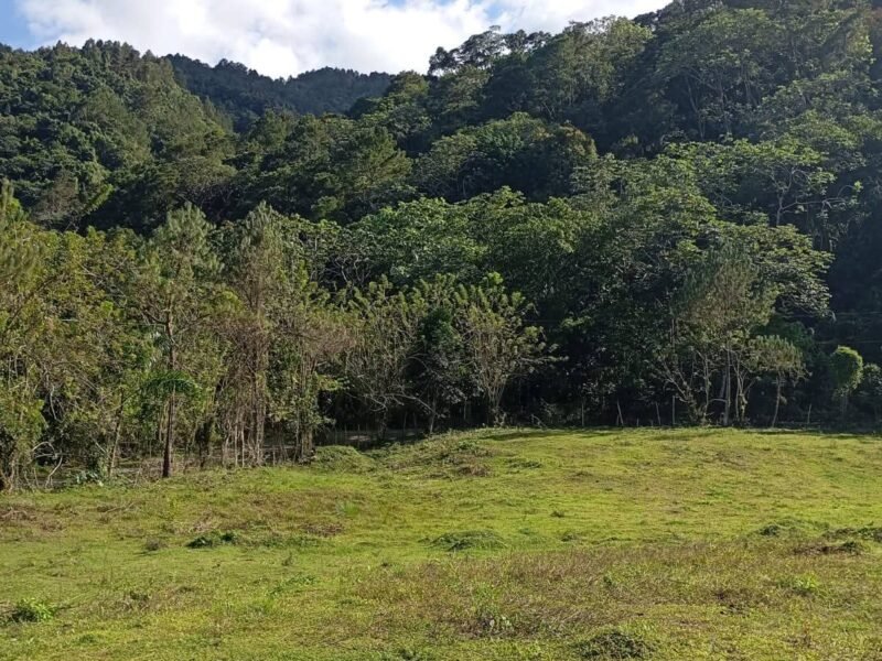 VENDO TERRENO EN JARABACOA