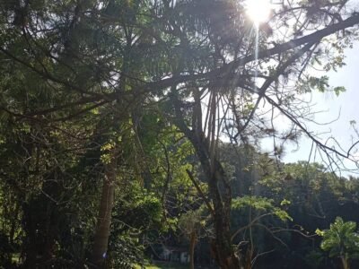 VENDO TERRENO EN JARABACOA