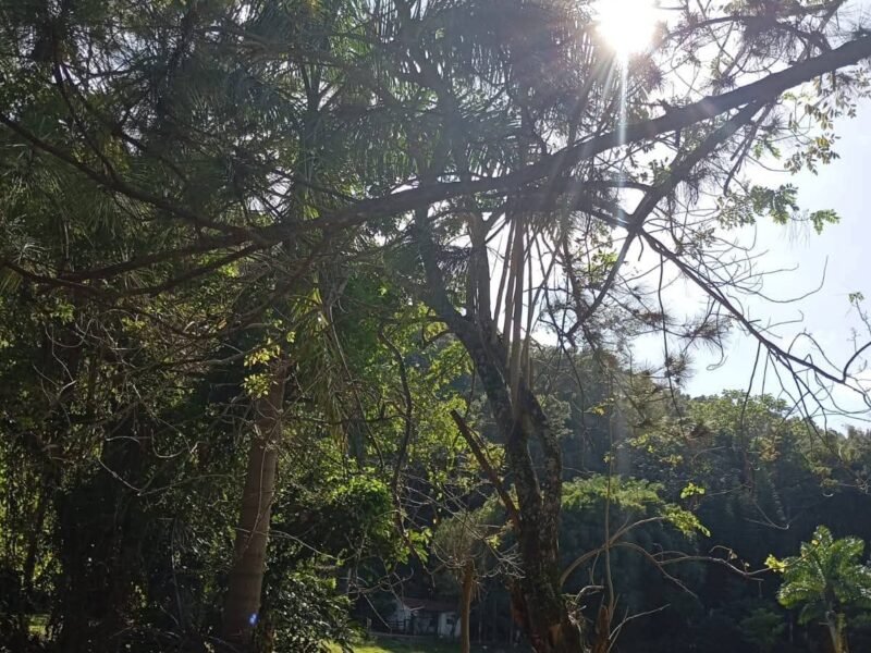 VENDO TERRENO EN JARABACOA