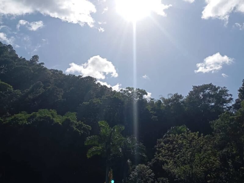 VENDO TERRENO EN JARABACOA
