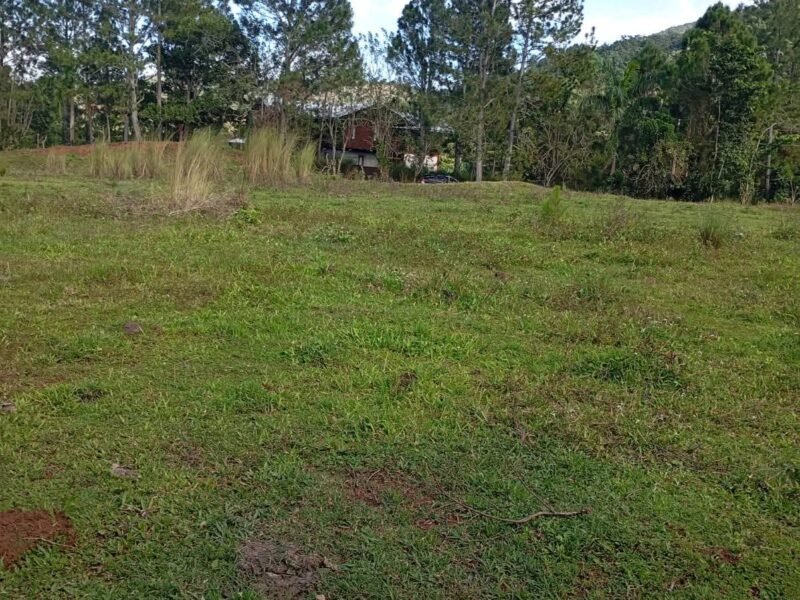 VENDO TERRENO EN JARABACOA