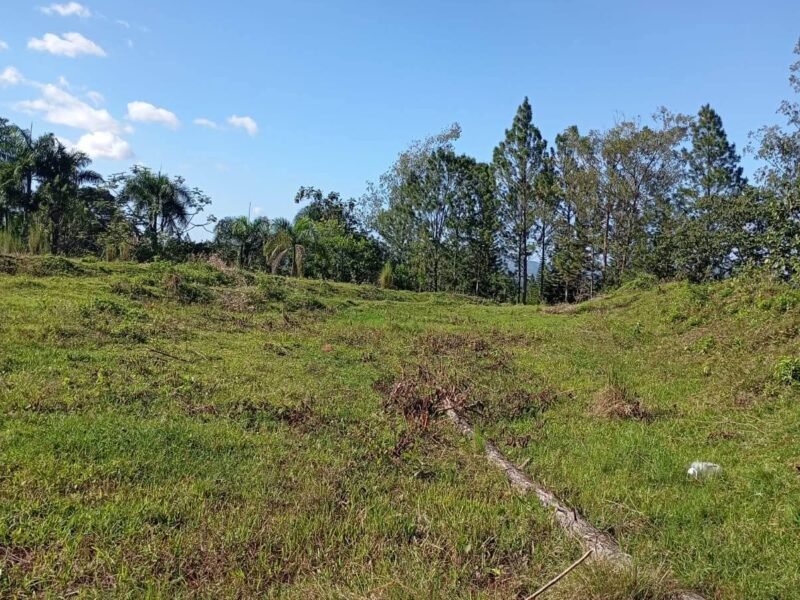 VENDO TERRENO EN JARABACOA