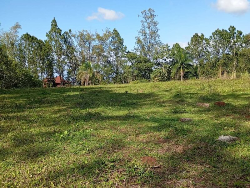 VENDO TERRENO EN JARABACOA