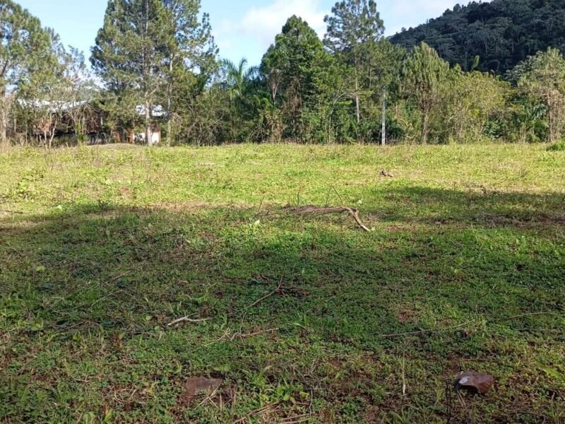 VENDO TERRENO EN JARABACOA