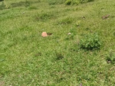 TERRENO EN BUENA VISTA JARABACOA PROYECTO CERRADO