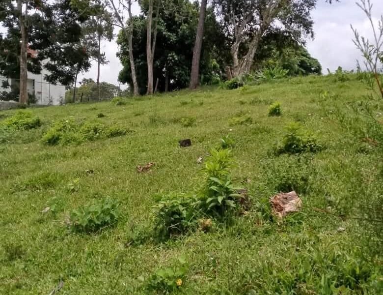 TERRENO EN BUENA VISTA JARABACOA PROYECTO CERRADO