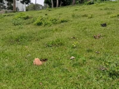 TERRENO EN BUENA VISTA JARABACOA PROYECTO CERRADO
