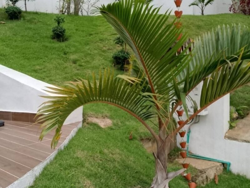 VILLA EN VENTA EN JARABACOA